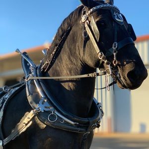 Meet your Posher, Dashauna